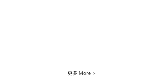 国际利来集团网址官方网站